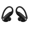 Наушники Powerbeats Pro 2 Черный