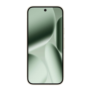 Google Pixel 10 Pro XL 16Гб/512Гб Нефрит