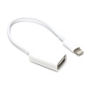 Кабель OTG  Apple lightning RockBox 10 см. (white)